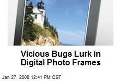 Vicious Bugs Lurk in Digital Photo Frames