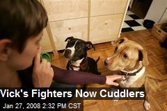 Vick's Fighters Now Cuddlers