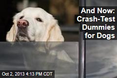 And Now: Crash-Test Dummies for Dogs