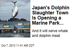 Japan&#39;s Dolphin Slaughter Town Is Opening a Marine Park...