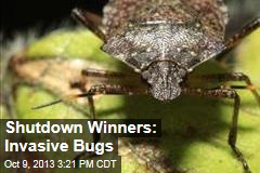Shutdown Winners: Invasive Bugs