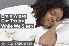 Brain Wipes Out Toxins While Asleep