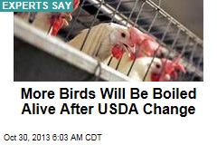 Experts: USDA Plan Will Boil More Birds Alive