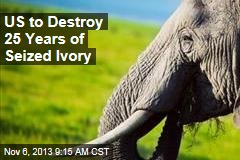 US to Destroy 25 Years of Seized Ivory