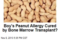 Boy&#39;s Peanut Allergy Cured by Bone Marrow Transplant?