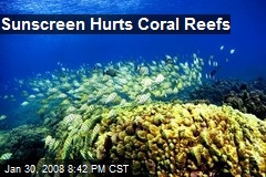 Sunscreen Hurts Coral Reefs