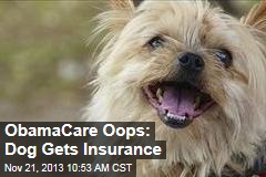 ObamaCare Oops: Dog Gets Insurance