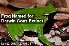 Frog Named for Darwin Goes Extinct