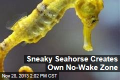 Sneaky Seahorse Creates Own No-Wake Zone