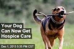 Your Dog Can Now Get Hospice Care