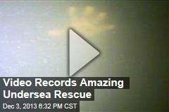 Video Records Amazing Undersea Rescue
