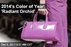 2014&#39;s Color of Year: &#39;Radiant Orchid&#39;