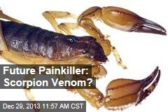 Future Painkiller: Scorpion Venom?