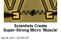 Scientists Create Super-Strong Micro &#39;Muscle&#39;