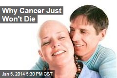 Why Cancer Just Won&#39;t Die