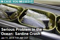 Serious Problem in the Ocean: Sardine Crash
