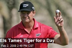 Els Tames Tiger for a Day
