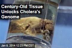 Century-Old Tissue Unlocks Cholera&#39;s Genome