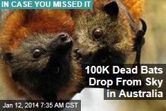 100K Dead Bats Drop From Sky in Australia