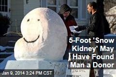 5-Foot &#39;Snow Kidney&#39; May Have Found Man a Donor