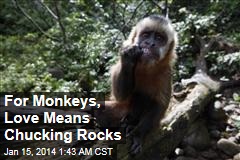 Monkey Courtship Trick: Chucking Rocks