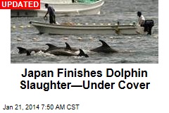 Japan Launches Dolphin Slaughter