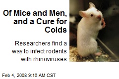 Of Mice and Men, and a Cure for Colds