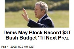 Dems May Block Record $3T Bush Budget 'Til Next Prez