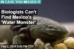 Biologists Can&#39;t Find Mexico&#39;s &#39;Water Monster&#39;