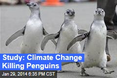 Study: Climate Change Killing Penguins