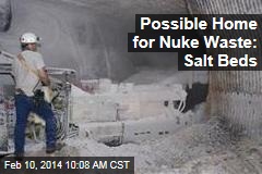 Possible Home for Nuke Waste: Salt Beds