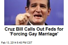 Cruz Bill Calls Out Feds for &#39;Forcing Gay Marriage&#39;