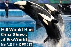 Bill Would Ban Orca Shows at SeaWorld