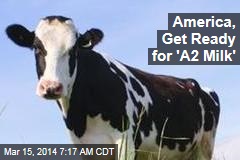 America, Get Ready for &#39;A2 Milk&#39;