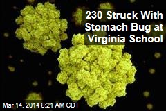 230 Struck With Stomach Bug at Virginia School