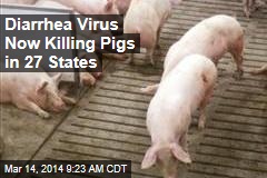 Diarrhea Virus Now Killing Pigs in 27 States