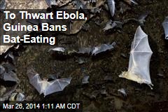 To Combat Ebola, Bat-Eating Banned