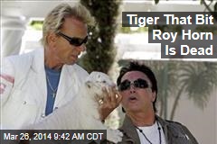 Tiger That Bit Roy Horn Is Dead