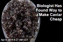 Biologist Has Found Way to Make Caviar Cheap