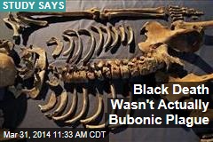 Black Death Wasn&#39;t Actually Bubonic Plague