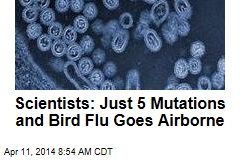Scientists: Just 5 Mutations and Bird Flu Goes Airborne