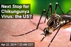Tropical Chikungunya Virus Poised to Invade US