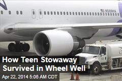 How Teen Stowaway Survived in Wheel Well