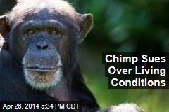 Chimp Sues Over Living Conditions