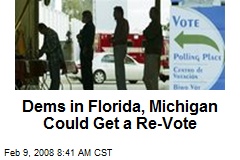 Dems in Florida, Michigan Could Get a Re-Vote