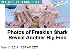Scientists Make New Find in Photos of Freakish Shark