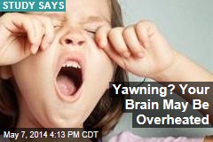 Yawning? Your Brain May Be Overheated