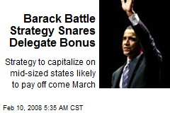 Barack Battle Strategy Snares Delegate Bonus