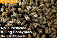 No. 1 Pesticide Killing Honeybees