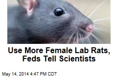 Feds to Scientists: Use More Female Lab Rats